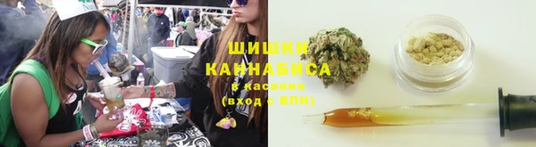 метадон Дмитриев