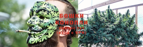 ешки Дмитровск