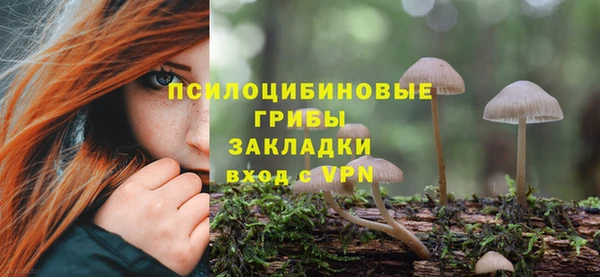 метадон Дмитриев
