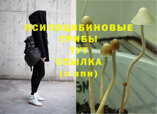 ешки Дмитровск