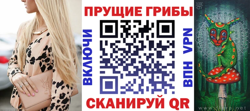 Купить где  Туран  Галлюциногенные грибы Cubensis 
